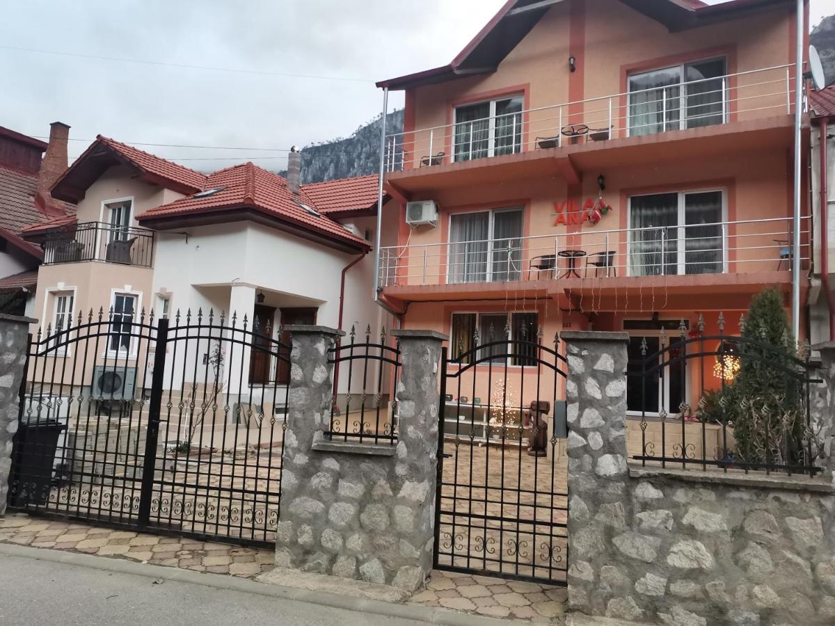 Vila Ana Baile Herculane Exterior photo