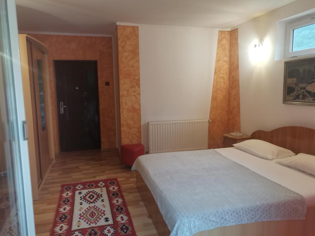 Vila Ana Baile Herculane Room photo