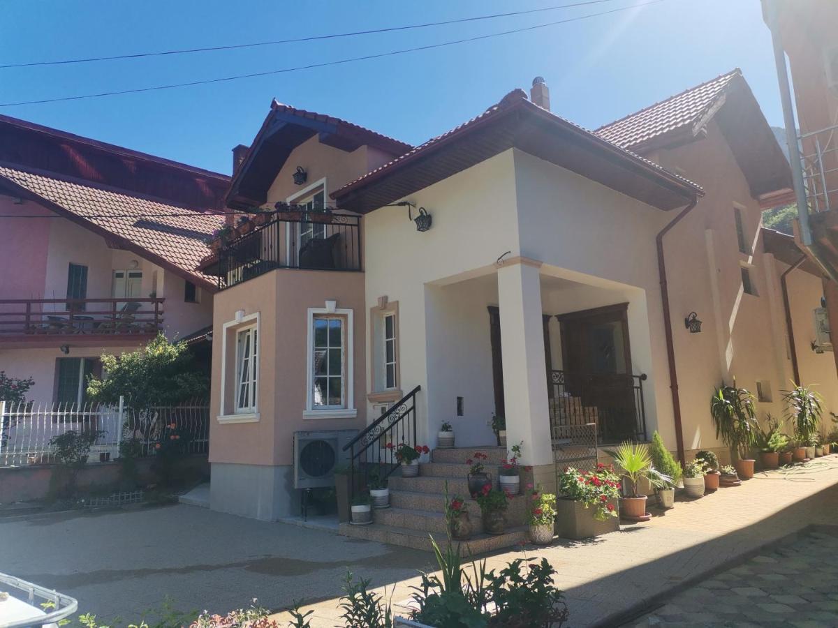Vila Ana Baile Herculane Exterior photo